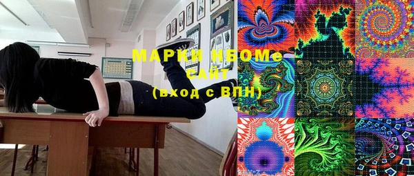 PSILOCYBIN Аркадак