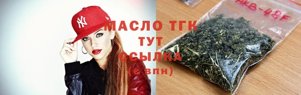 хмурый Арсеньев