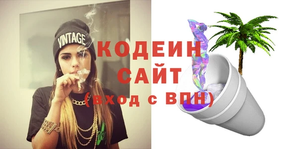 хмурый Арсеньев