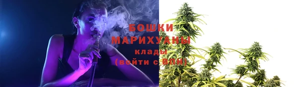 PSILOCYBIN Аркадак
