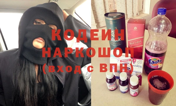 хмурый Арсеньев