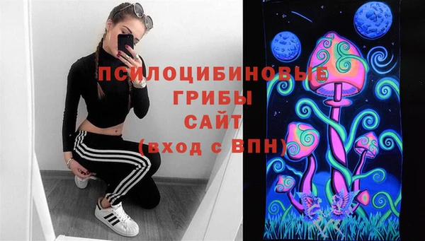PSILOCYBIN Аркадак