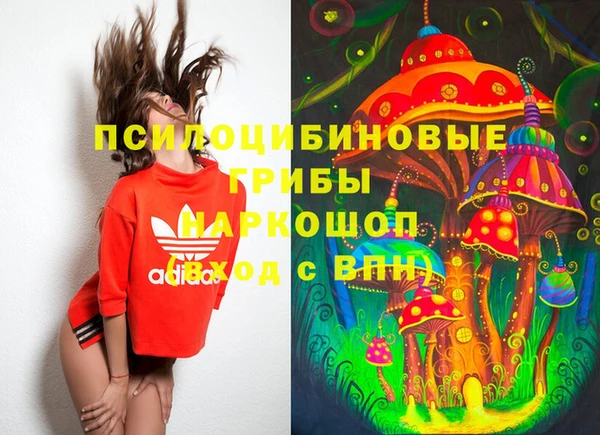 хмурый Арсеньев