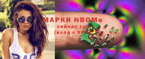 хмурый Арсеньев