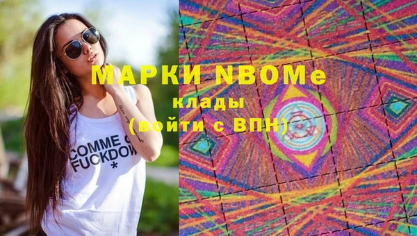 хмурый Арсеньев