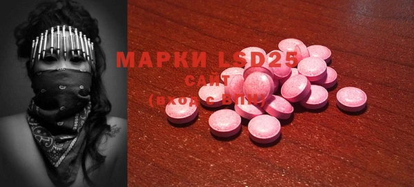 хмурый Арсеньев