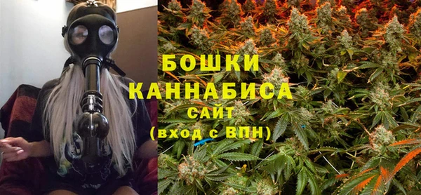 PSILOCYBIN Аркадак