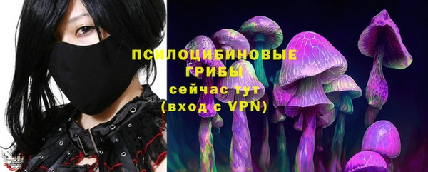 PSILOCYBIN Аркадак