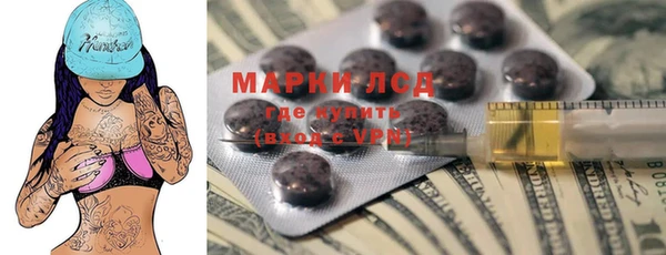PSILOCYBIN Аркадак