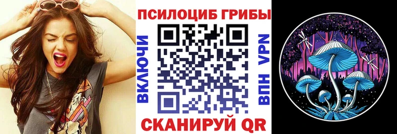 Псилоцибиновые грибы Psilocybe Лыткарино